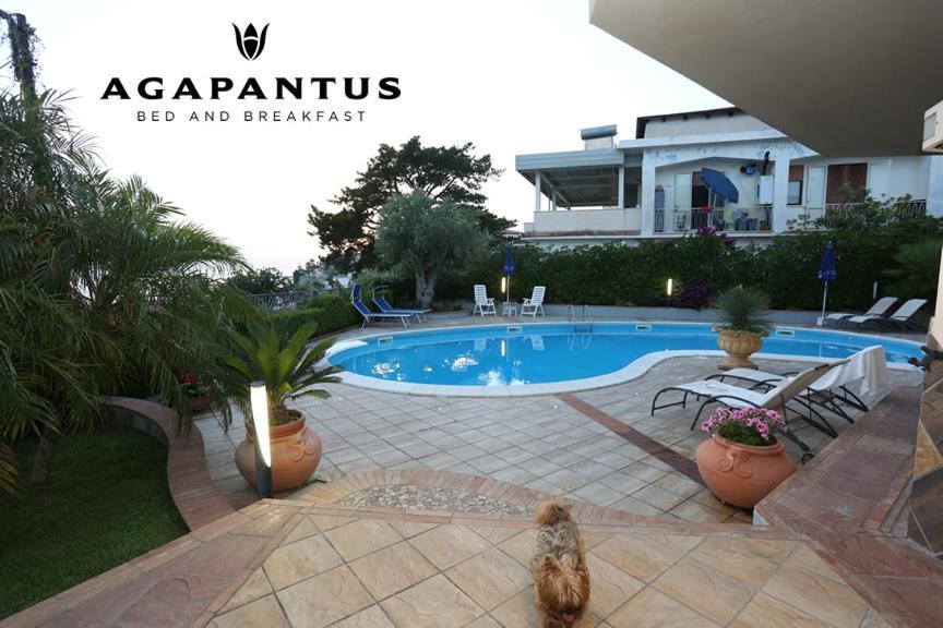 Agapantus Bed & Breakfast Bed & Breakfast Diamante Dış mekan fotoğraf